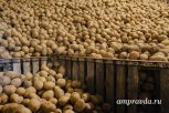 Пострадавшие от паводка амурчане получат более 170 тонн овощей