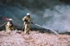 В Благовещенском районе сгорело 300 тюков сена