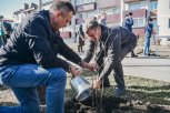 Губернатор с жителями Благовещенска посадили молодые деревья