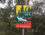 На водоемах и лесных развилках Приамурья установили три сотни противопожарных аншлагов и панно