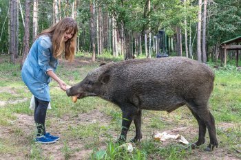 Спасение сыновей, энергия в Китай, ядерные склады и тайны воспитания:о чем пишут журналисты «Амурки»