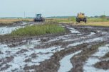 Более трех миллиардов рублей выплатят амурским аграриям за паводок