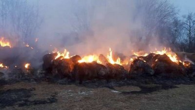 Стадо коров едва не задохнулось при пожаре в селе Томичи