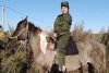 «Какой казак без коня»: студентов Амурского казачьего колледжа научат верховой езде