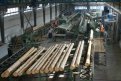 Новый резидент ТОР «Белогорск» построит завод по глубокой переработке древесины