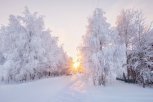 Самый комфортный город России и где открыли кафе с фальшивыми пандами: утро с «Амурской правдой»
