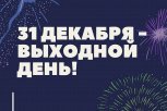 Губернатор Приамурья сделал 31 декабря выходным днем