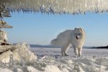 Приамурье во власти аномального холода: в самые длинные ночи морозы окрепли до -45 градусов