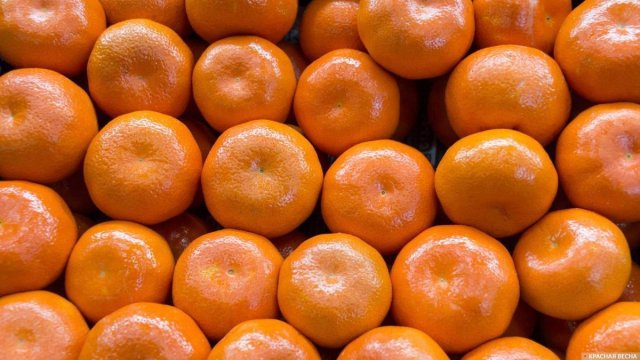 Мандариновые страхи: откуда таблетки в цитрусовых и чего нужно бояться / Мандарины перед Новым годом снова под ударом. Сначала по Сети разлетелось видео, как женщина ножом «выселяет» из мандарина живых червей. Потом прокатилась волна «заражений» ротовирусной инфекцией. Сейчас перепуганные родители ищут в мякоти таблетки. Насколько правдивы эти «мандариновые страшилки», каких дефектов цитрусовых действительно нужно опасаться и как осуществляется контроль за безопасностью фруктов из Поднебесной, выяснял спецкор «Амурской правды».