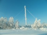 МТС подключили к интернету более двухсот социально значимых объектов Амурской области