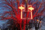 В благовещенском парке Дружбы появились китайские символы счастья