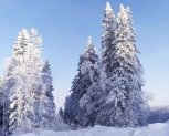 Ночью в Благовещенске и по области пройдет снег: прогноз погоды