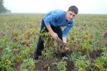 На развитие бизнеса в амурских селах дадут кредиты под 5 процентов