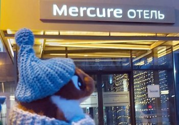 Отель французской сети Mercure открылся в Благовещенске (фото)