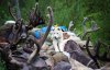 Земля снежного барана: как Токинский парк спасет уникальных животных и сохранит культуру эвенков