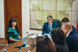 Жители Зеи пожаловались губернатору на расплодившихся бездомных животных