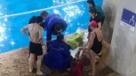 На инструктора благовещенского аквапарка «Плаза» возбуждено уголовное дело