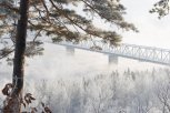 Кого встречает пёс на горке в Благовещенске и необычный отец: утро с «Амурской правдой»