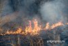 Три с половиной тысячи амурчан будут патрулировать леса