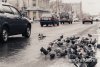 Снежный циклон уходит из Приамурья — прогноз погоды на 9 марта