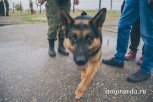 Караульные собаки поступили в воинские части Белогорска и Екатеринославки