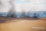 Более 50 человек были привлечены на тушение палов в Приамурье