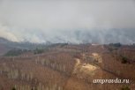 Три первых лесных пожара произошли в Амурской области