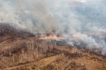 Пятьдесят авиапожарных направлены на тушение лесов в Амурской области