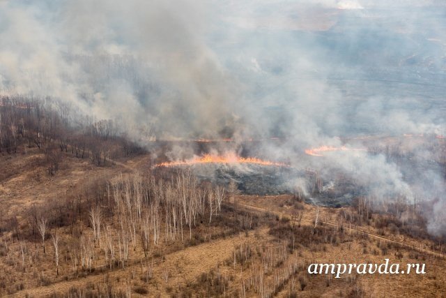 Пятьдесят авиапожарных направлены на тушение лесов в Амурской области / Амурские леса будут помогать тушить пятьдесят авиапожарных из федерального резерва «Авиалесоохраны». Направить в регион помощь решили после обращение властей амурской области.