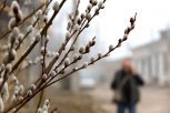 В Серышеве до глубокой ночи искали ушедших за вербой детей