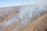 За день в Амурской области потушили четыре лесных пожара