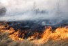 Четыре часа пожарные тушили пал вдоль дороги в Зейском районе
