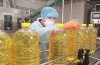 Амурский производитель экспортировал в Азию более 3 тысяч тонн соевого масла