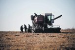Сельскохозяйственной Амурской области не хватает аграриев