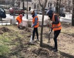 Школьные повара взялись за грабли: в Благовещенске дали подработку 230 горожанам