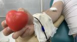Амурская область присоединилась к недельному донорскому марафону