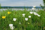 Бурейские просторы и зейские закаты: амурские пейзажи на снимках наших читателей