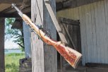 120 тысяч рублей за убитую косулю заплатят жители Свободненского района