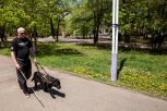 Помогите поводырям: «Амурская правда» ищет спонсоров для пяти незрячих инвалидов и их собак
