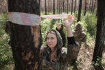 Спасите наши сосны: амурские лесопатологи прочесывают гектары леса, чтобы оценить здоровье деревьев