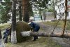 В двух амурских районах убирают поваленные ветром деревья и восстанавливают крыши