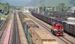 Амурчанин незаконно вывез в Китай почти 3 тысячи кубометров лиственницы