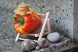 Дом из фарфора и 6 дыхательных упражнений для спокойствия: утро с «Амурской правдой»