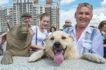 «У Дружка все хорошо»: 5 лет назад АП и Первый канал открыли памятник самой знаменитой собаке