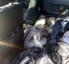 В Амурской области в машине вахтовика нашли золото на 8 миллионов рублей