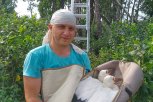 Большой брат аистов: зачем эколог Антон Сасин следит за птицами по GPS-передатчикам и онлайн-камерам