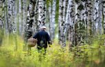 В Мазановском районе найти грибника не помогли тепловизор и экстрасенс