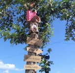 «Легко ли жить без мозгов»: в Зее полувековой тополь разжег конфликт между управляйкой и жителями