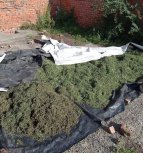 Пятнадцать килограммов марихуаны изъяли полицейские у жителя села Лозовое
