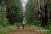 «С собой спички и запасные носки»: правила поведения в лесу